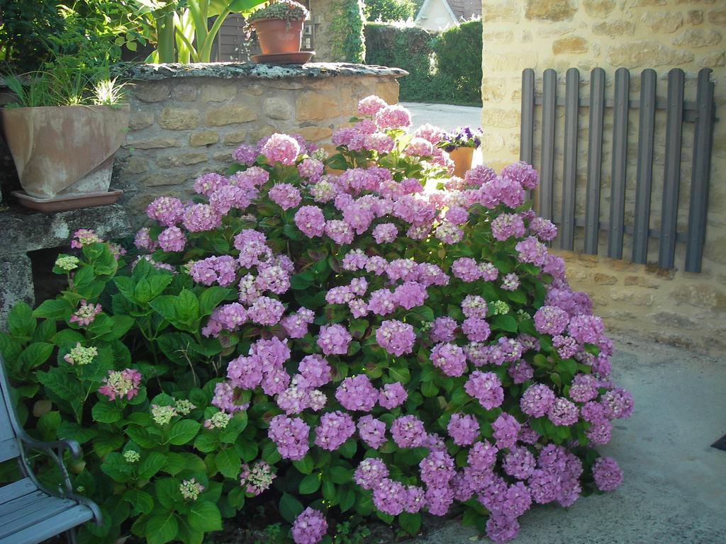 Les 4 Saisons Guest House Sarlat-la-Caneda Bagian luar foto